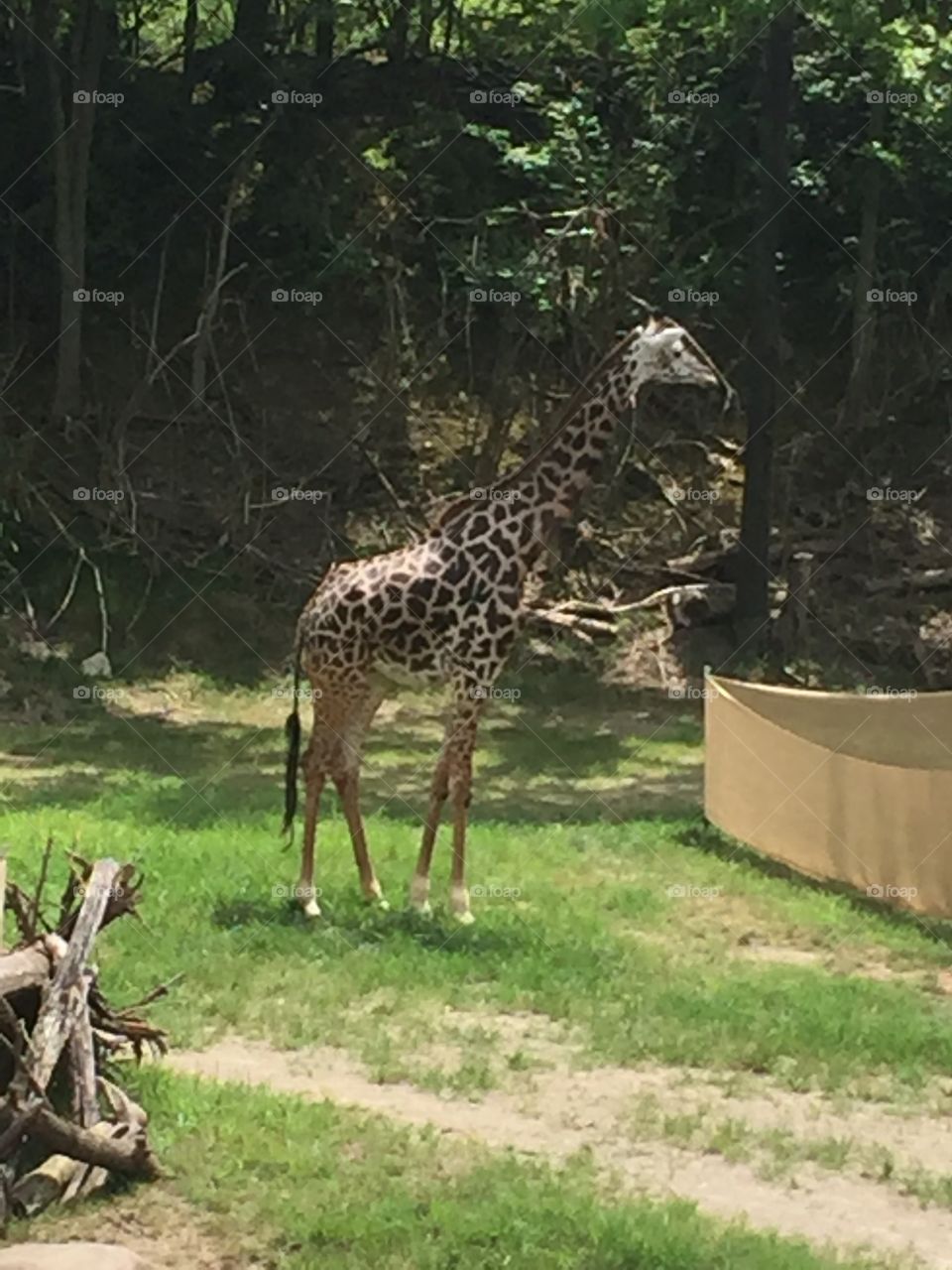 Visit to Cincinnati Zoo