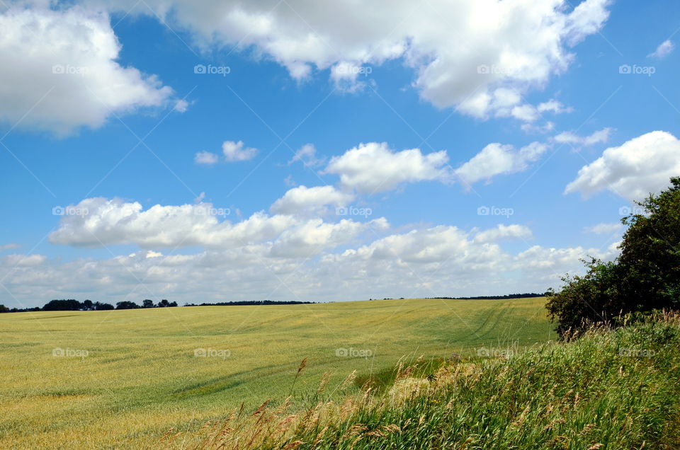 Fields of the crops, landscape of the Mazurian region in Poland