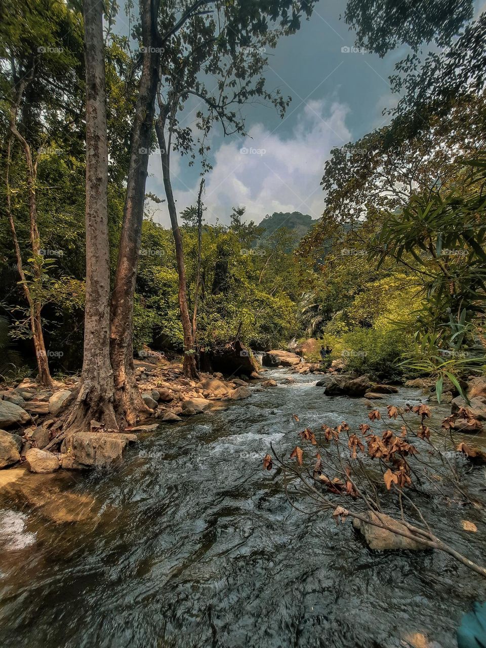 Run wild and free like a waterfall