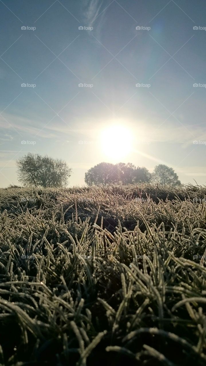 Morningsun at morningrun