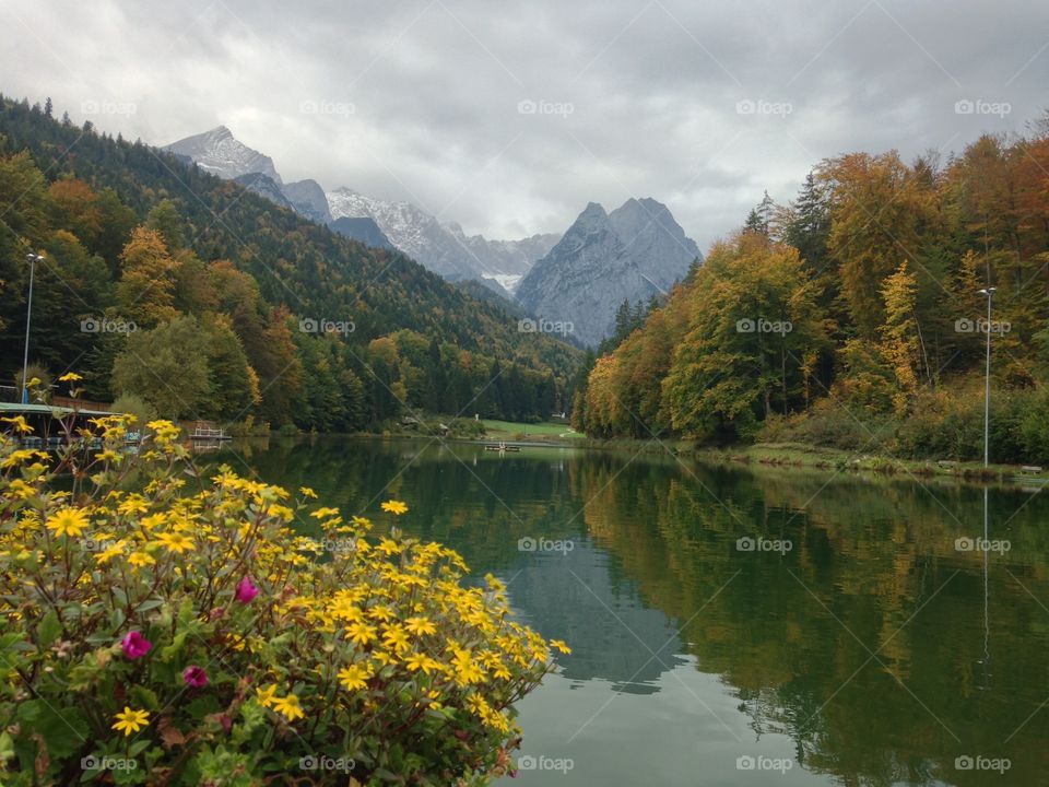 Germany, road to the mountain