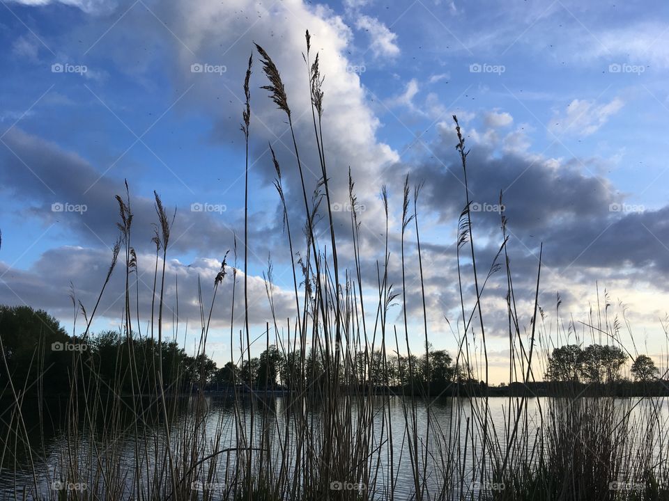 Along the lake in the Netherlands