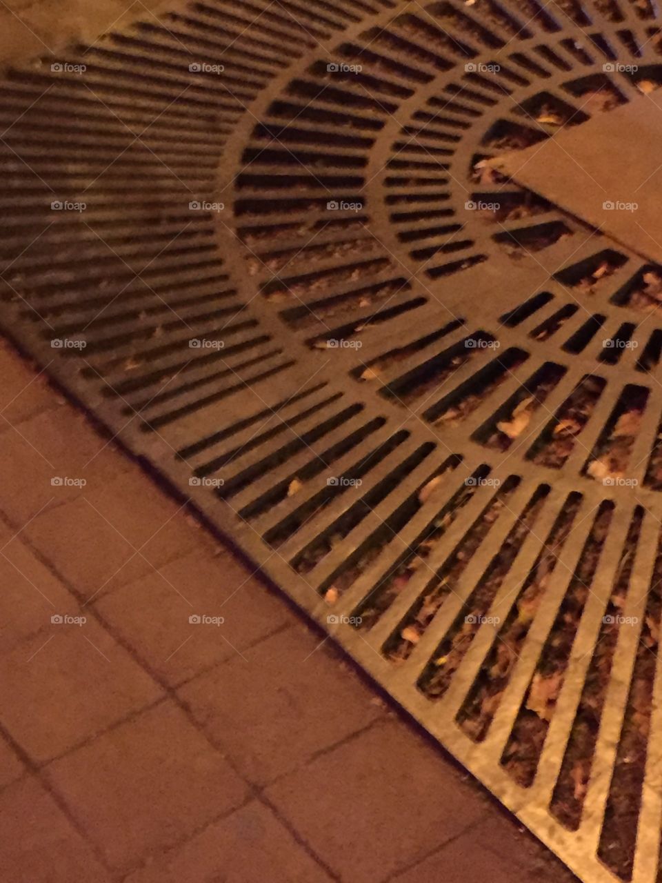 Tree grate