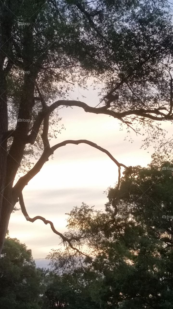 hidden faces. sunset on 9 Mile