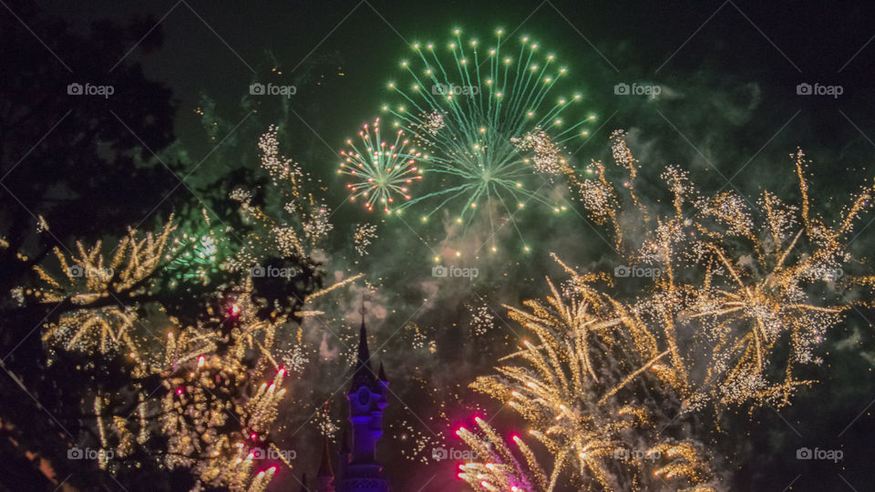 Euro Disney Paris new year's fire works