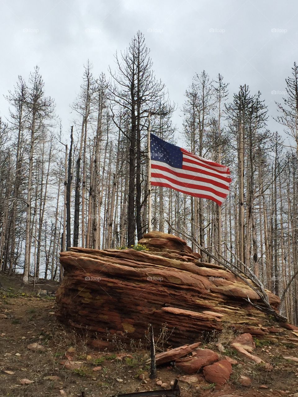 Rustic Patriotism . American flag on top of Boulder in wildfire burn site