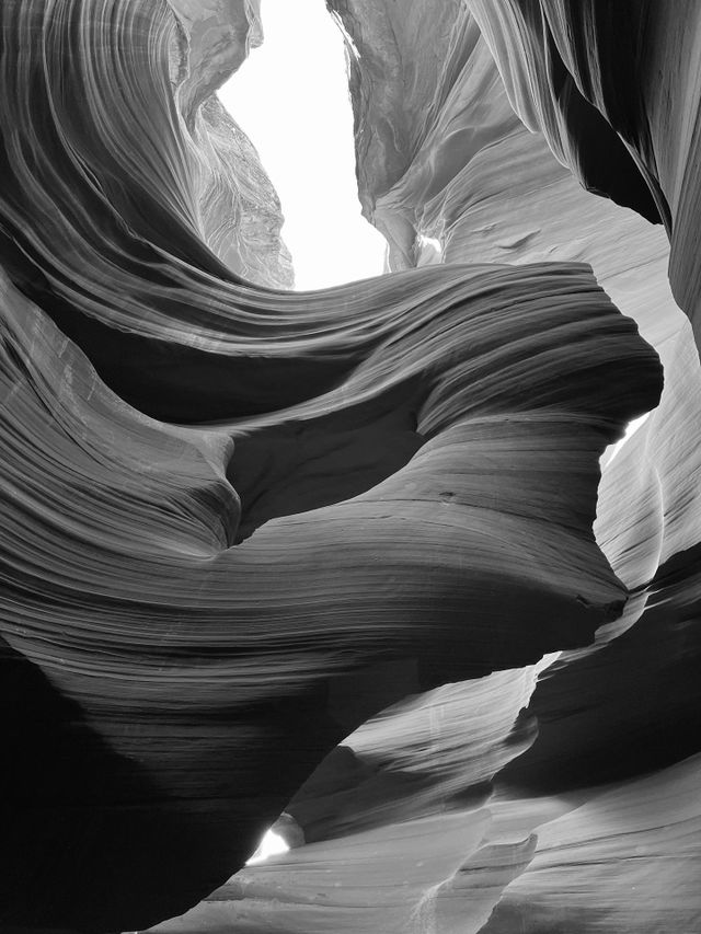 Lady in the Wind