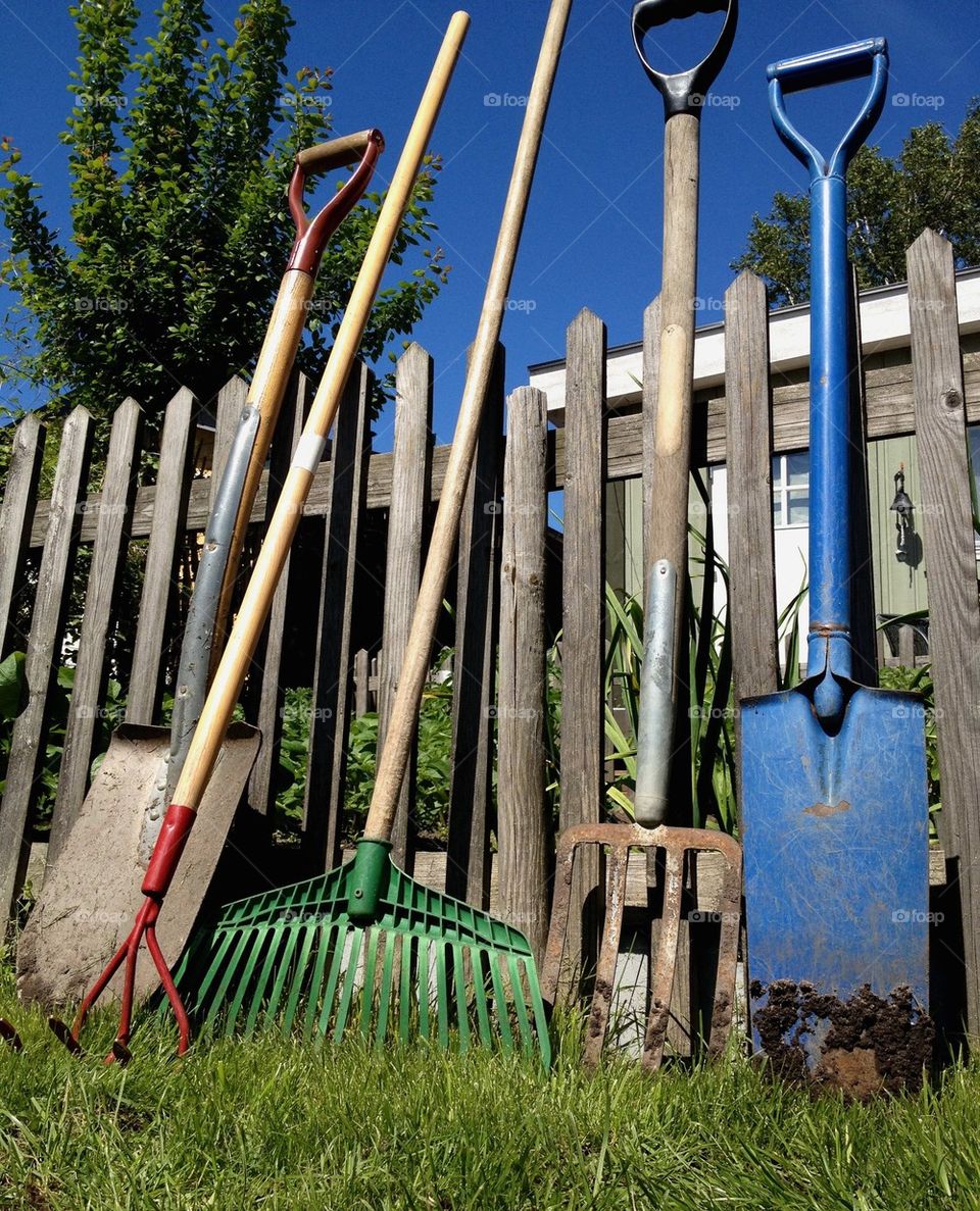 Gardening tools.