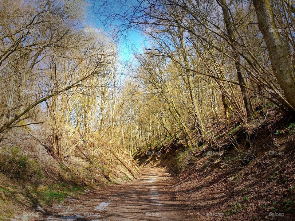 Schwäbisch Hall  , Spaziergang