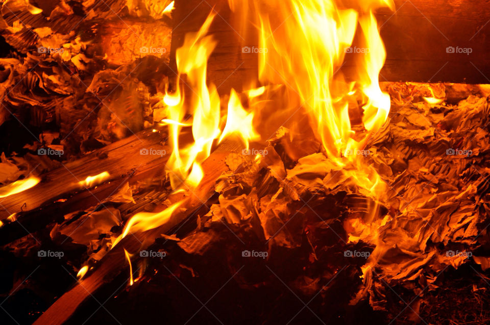 wood fire camping flames by refocusphoto