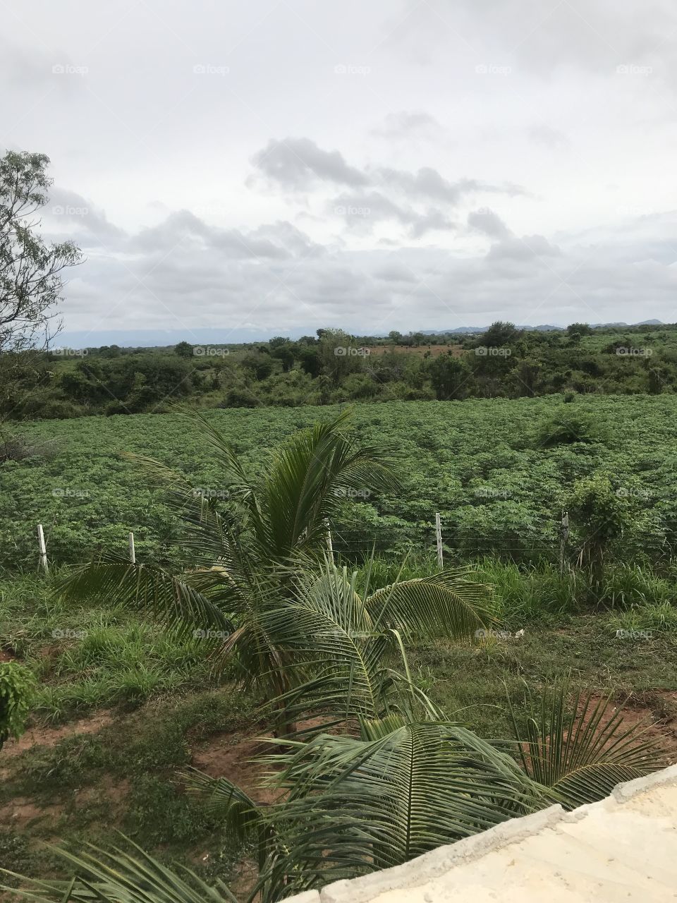 Project Sooriyawewa 1