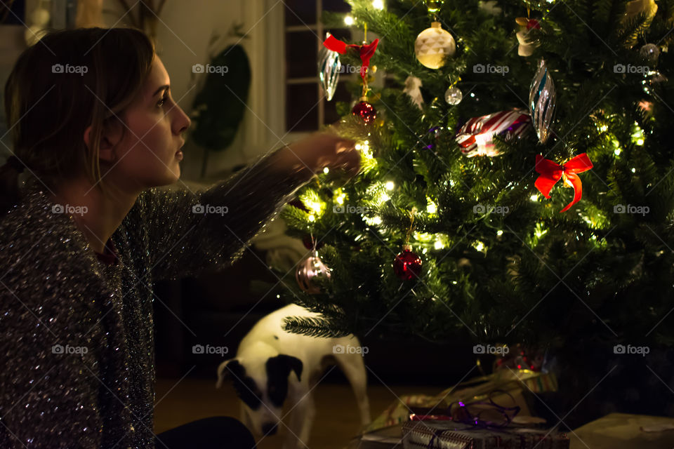 Decorating the Christmas tree with cute curious dog looking at presents series 