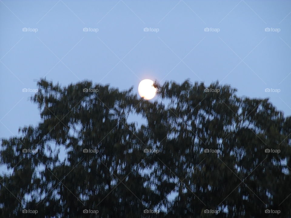 moonlight. This is a picture I took last night before the football game was over. 👣 🚶 🏃 🔥 💨