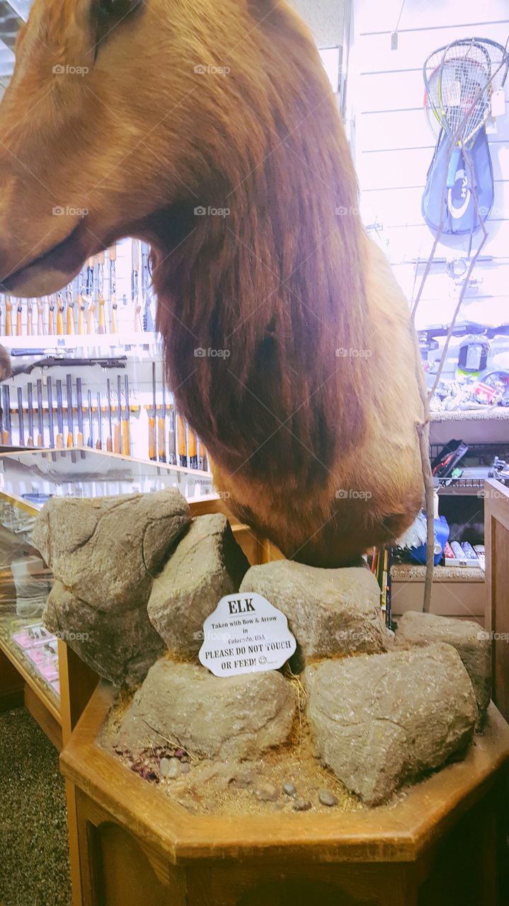 BIGGEST LITTLE CITY IN THE WORLD