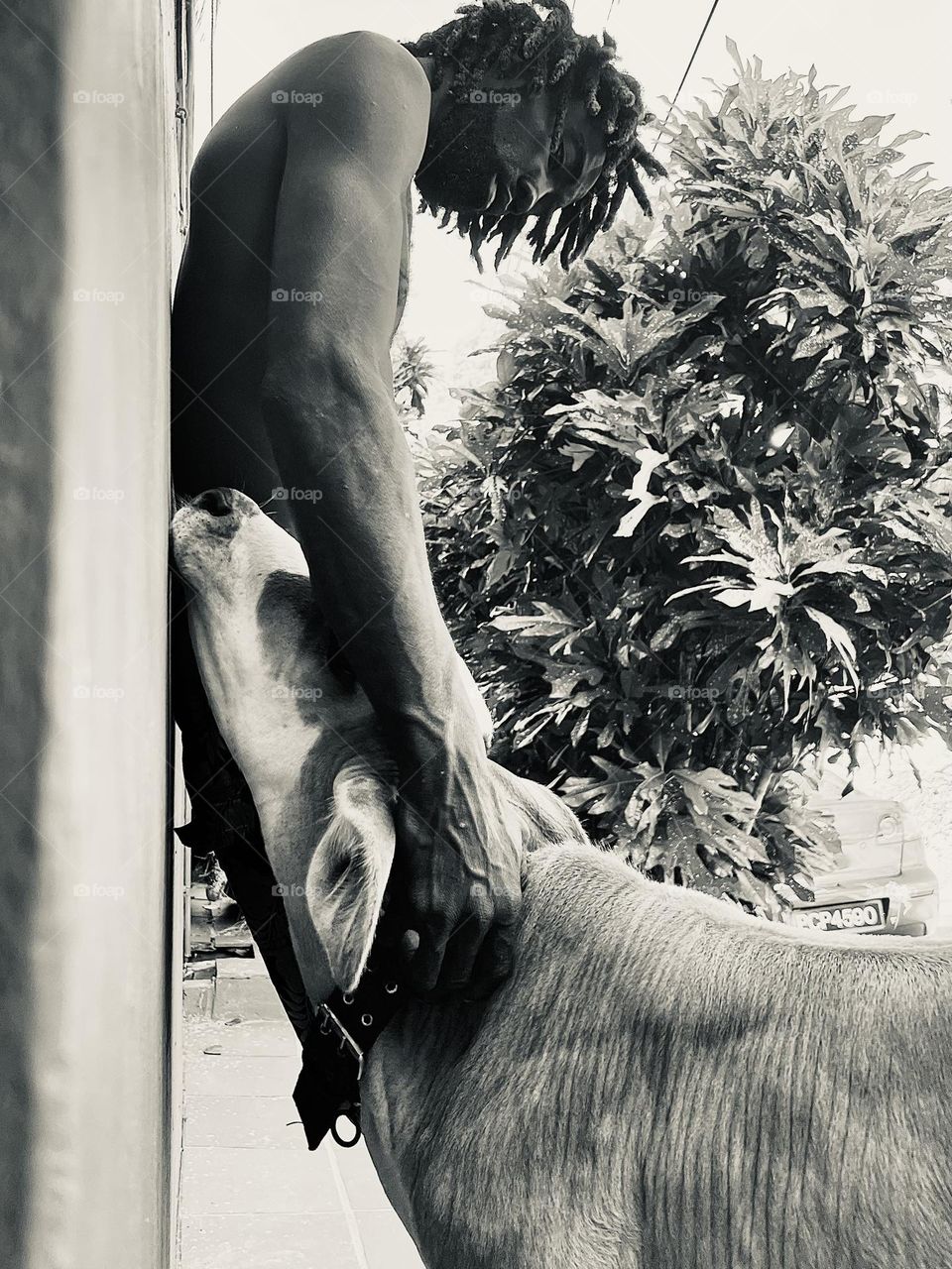 A man‘s best friend