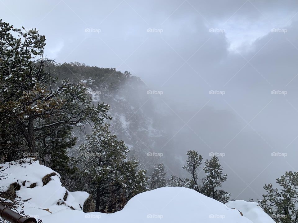 The Grand Canyon covered in fog and white fluffy snow. The South Rim is lined with beautiful green trees.