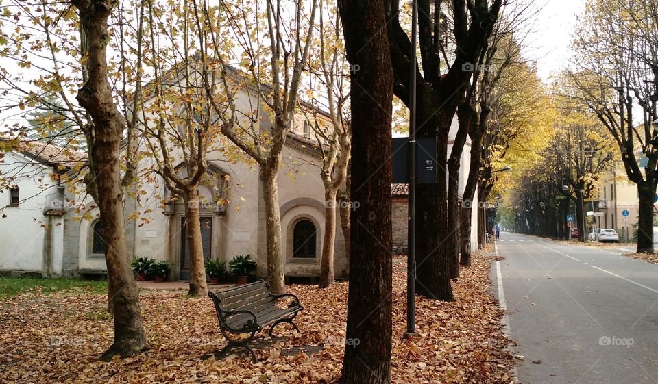 Empty bench on wooden table
