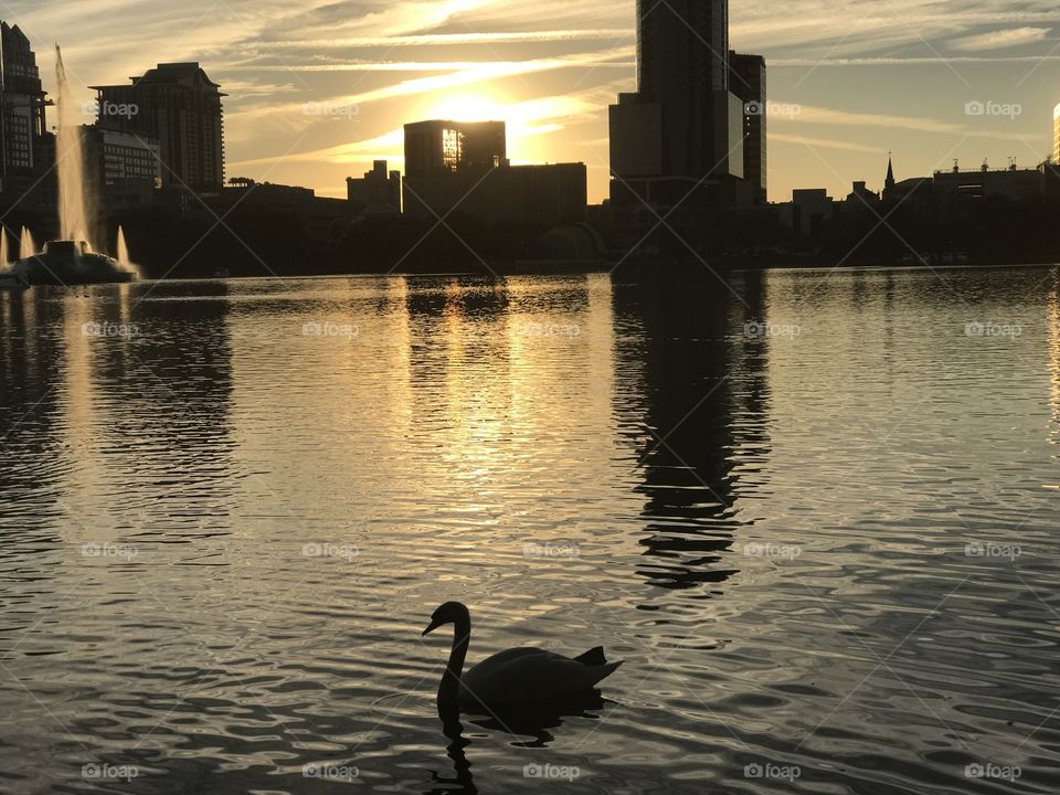 Water, No Person, Sunset, Architecture, City