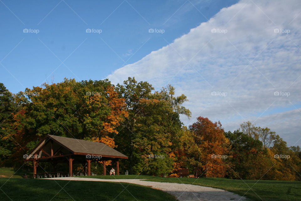 Fall foliage starting in the park