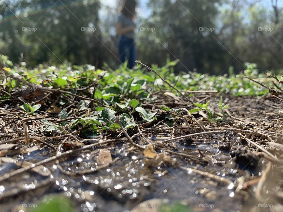 Beautiful nature around you 