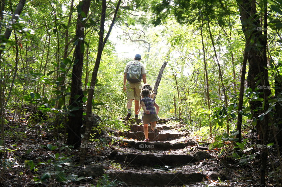 Hiking into the Forest 