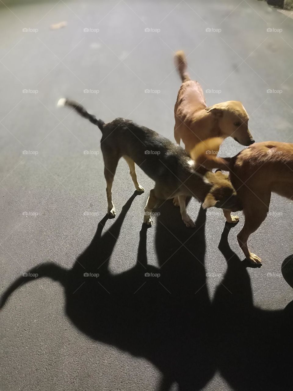 mom let's just play I don't want to sleep now