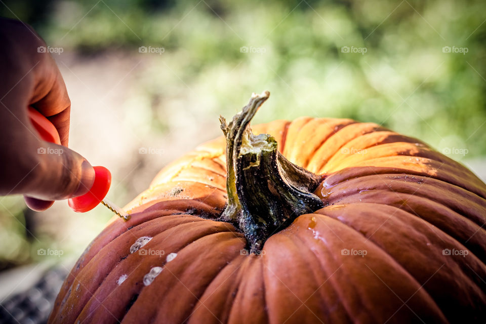 Carving a Pumpkin