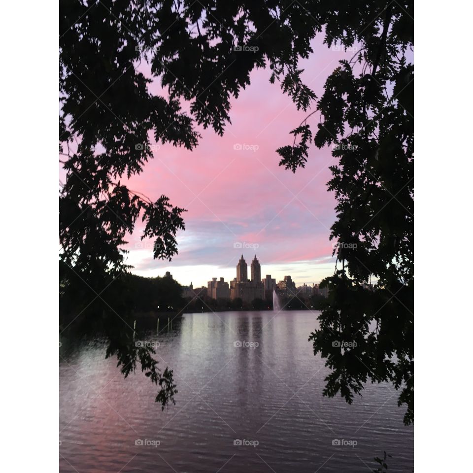 Sunset on Central Park 
