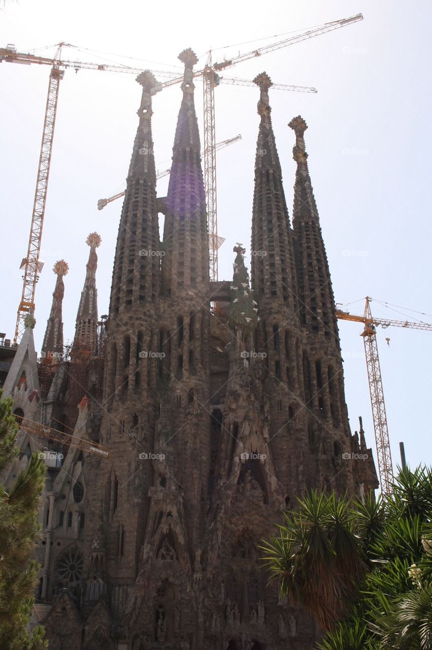 sagrada1