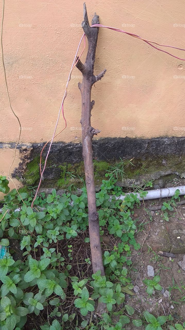 ek scene toh banta hai