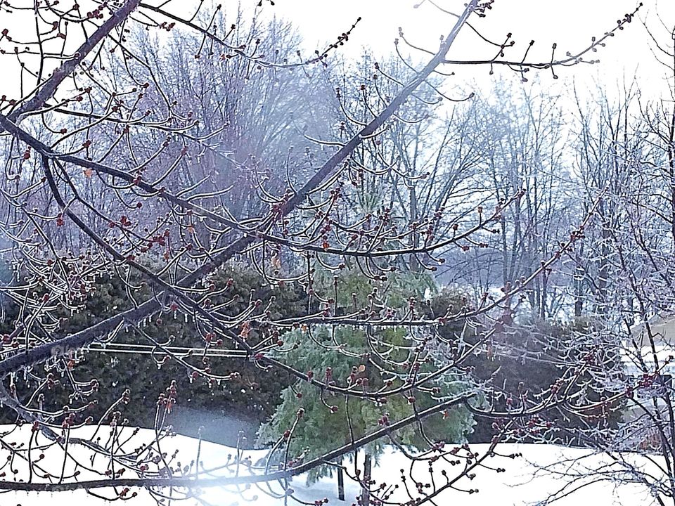 Winter freezing rain 