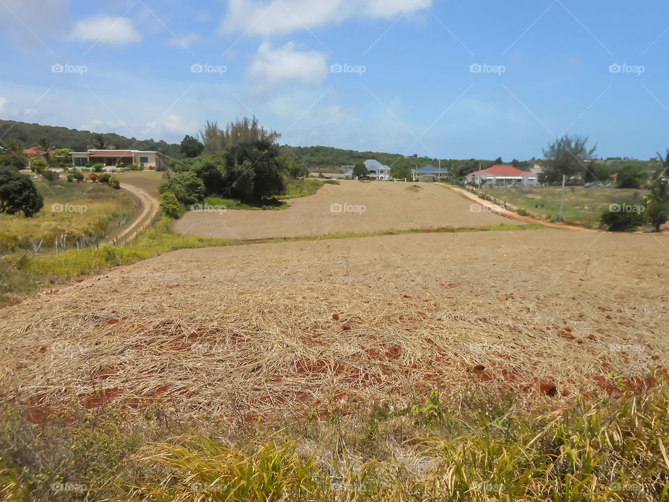 Prepared Farm Lot