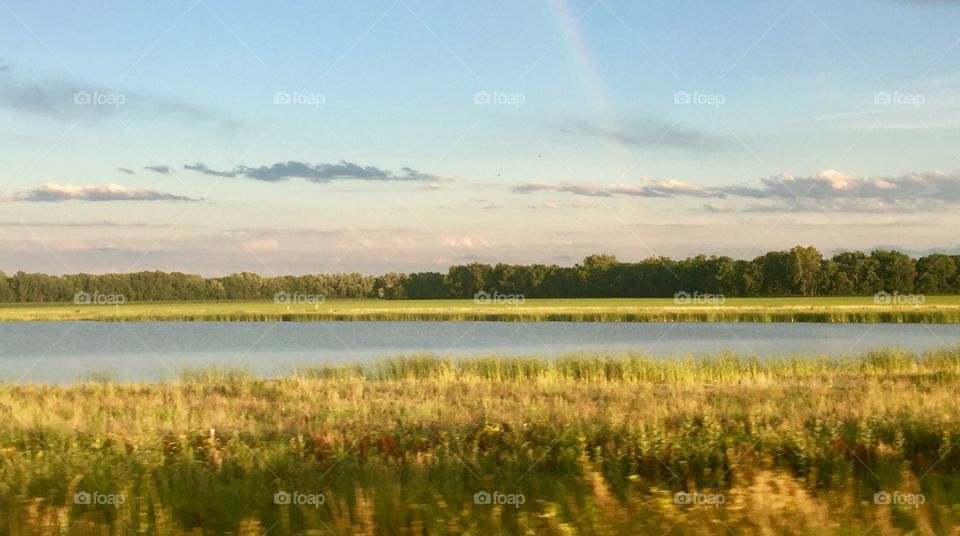 Rainbow in the field 