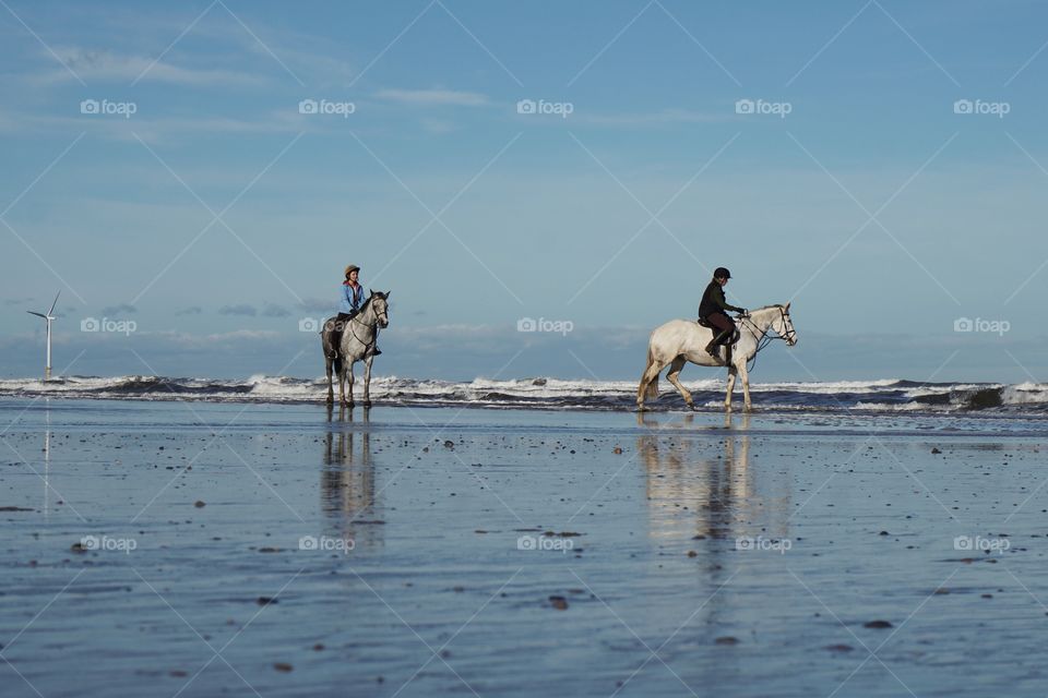 Two White Horses