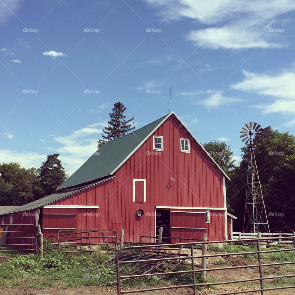 Old Barn in Minnesota 