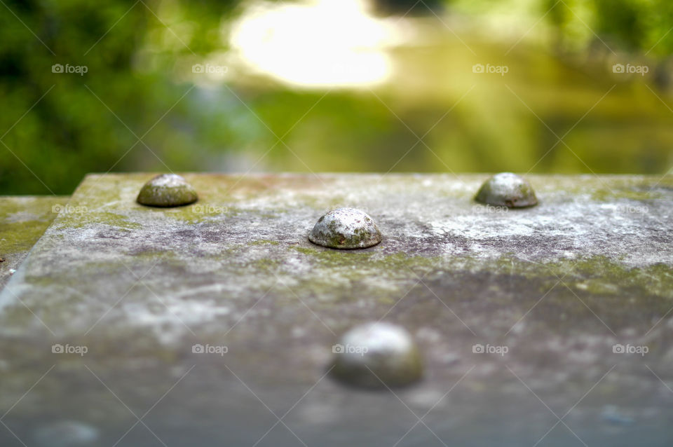 Textured metal with rivets and algae