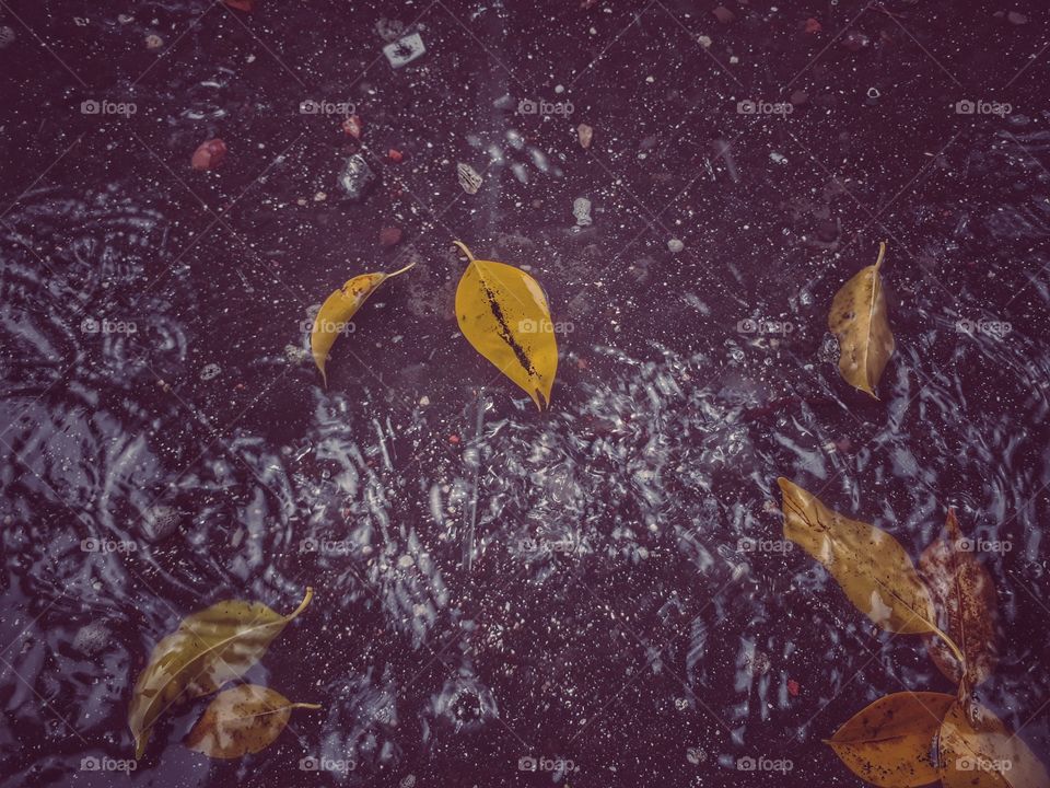 air dan daun menyatu