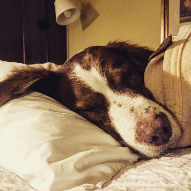 Lazy days