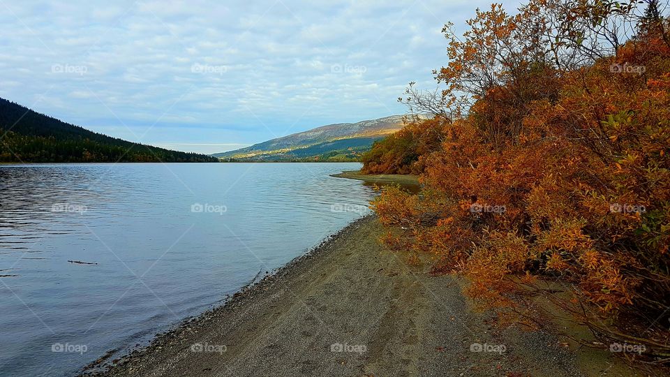 View of lake during autumn