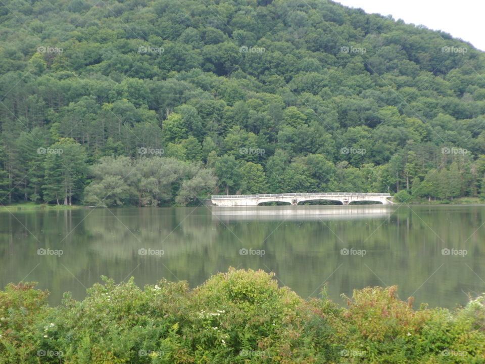 Red House Lake at Allegany State Park
