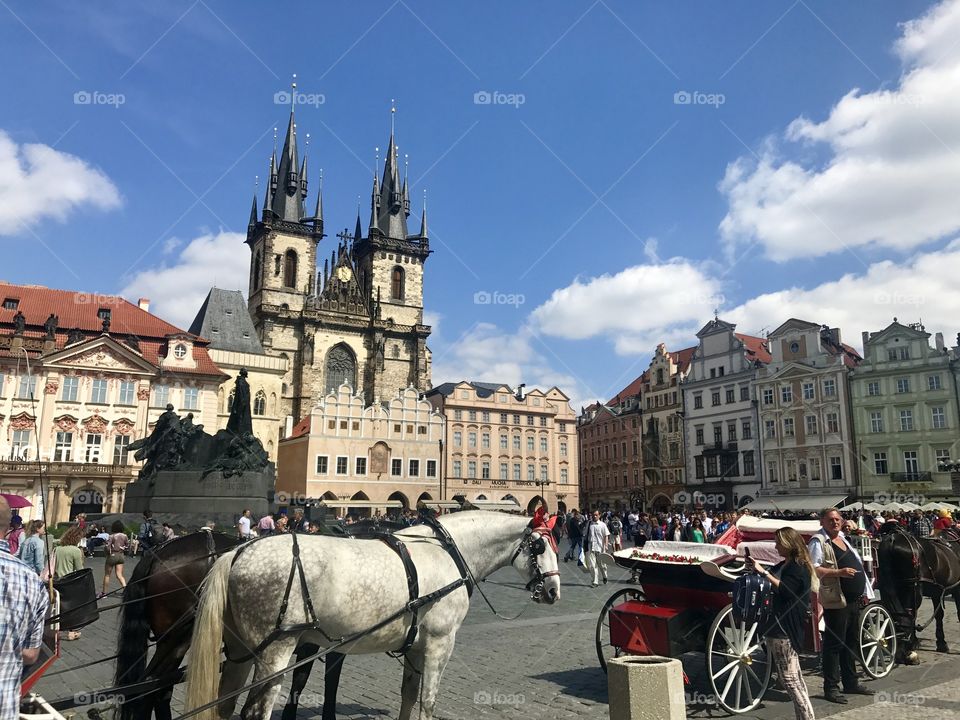 Horses in an old square