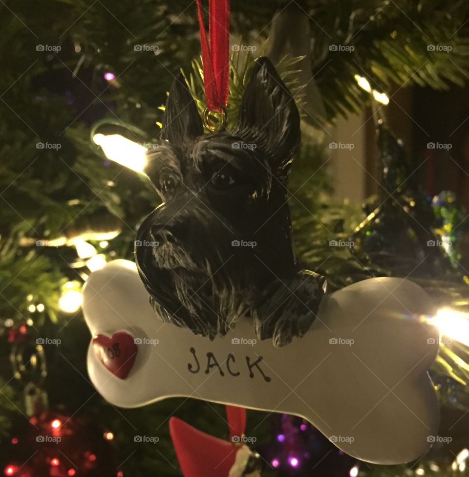 Pet ornament 