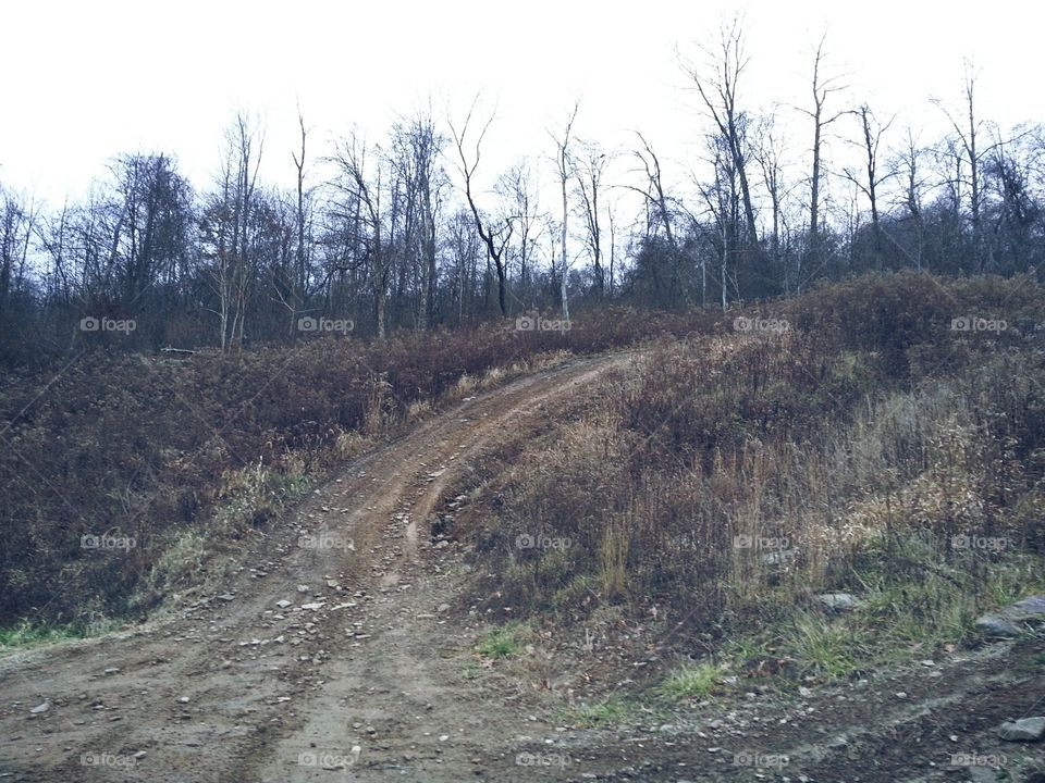 Dirt road / trail leading up to power lines that's typically used for 4 wheeling and dirt biking - but meant for the power company - on a back road in northern West Virginia.