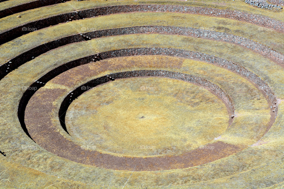 Circular plantation field in Peru