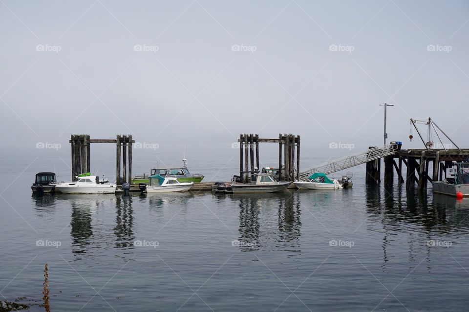 Tofino Mist