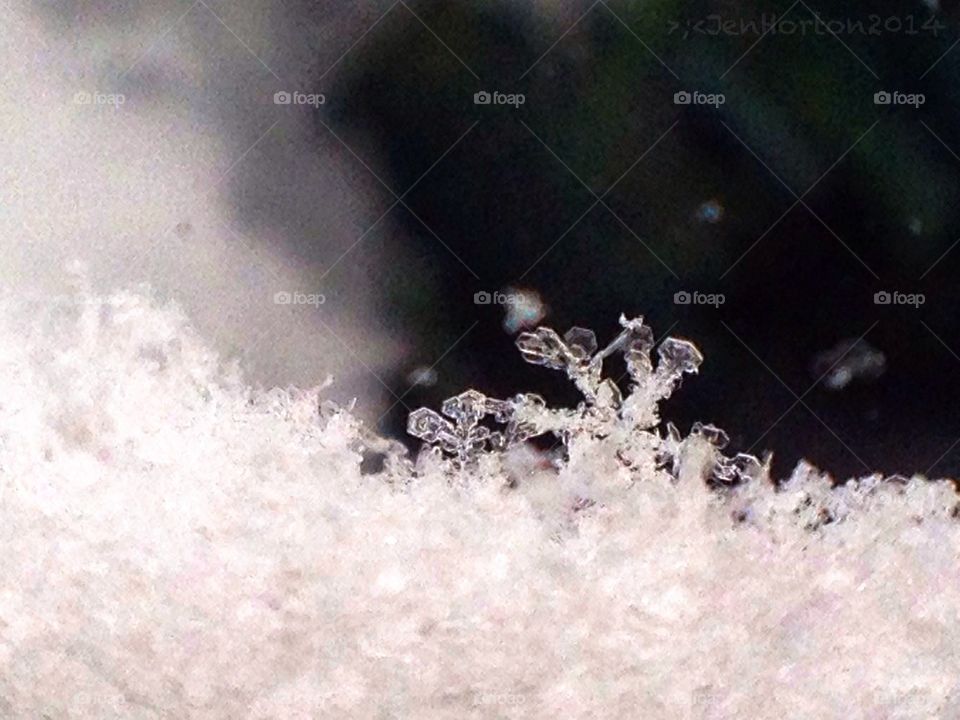 Snowflakes under glass