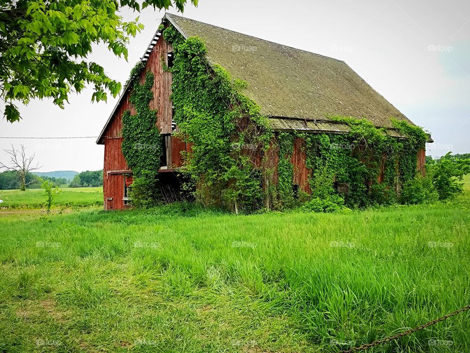 This Old Barn
