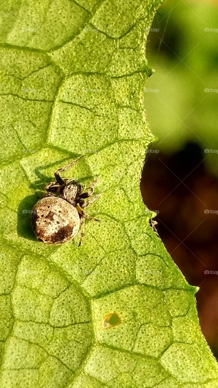 Redmi capture ❤️