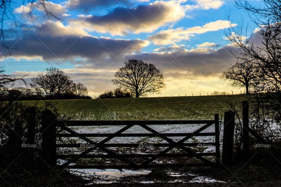 Scenic view of grassy field against cloudy sky