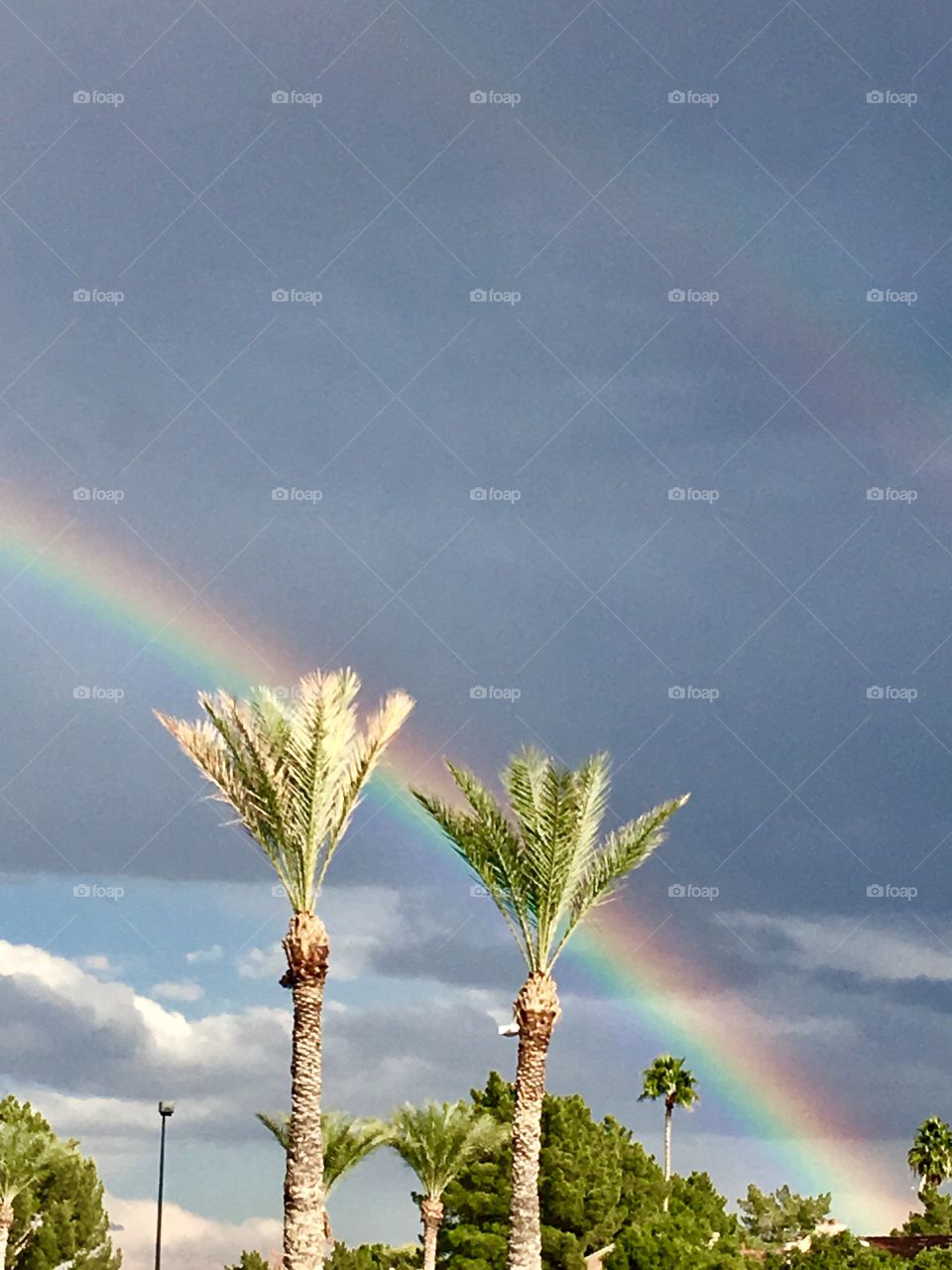 Arizona Rainbow 